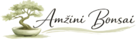 Amžini Bonsai